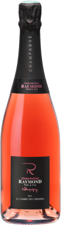 Rosé / À l'ombre des cerisiers